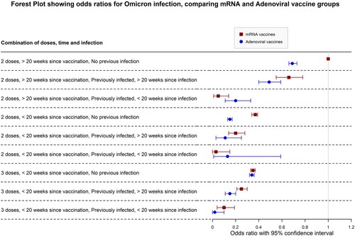 Figure 3. Forest plot comparing adenoviral to mRNA vaccine groups., adjusted for age group. NB: The “3 Adenoviral” regimen indicates 2 Adenoviral doses equivalent and 1 mRNA booster. Figure Footnote: The reference category is indicated by the vertical line in the graph, showing a 1.00 OR. This refers to the 2 mRNA vaccines, >20 weeks, no infection category (weakest immunity conferred).