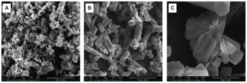 Figure 6 FESEM image of ZnO (A) and EAN (B) and EAN at higher magnification (C).Abbreviations: FESEM, field emission scanning electron microscope; EA, ellagic acid; EAN, ellagic acid nanohybrid.