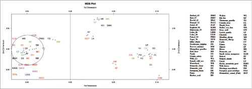 FIGURE 4. Multidimensional Scaling plot of genetic distance between populations (Basques – closed circles, Iberia – open circles, Europe – closed squares, Middle East – cross, Caucasus – closed triangles, North Africa – open triangles). The first 2 axes account for highest genetic variation present in the sample and can be demonstrated that the plot is an accurate representation of the genetic distance matrix. The small ruminant group cluster together on the bottom-left side of the plot, near their bigger ruminant neighbors represented on the upper left place. The canine populations are found near the bottom-right of plot, differentiated from the other 2 ruminant groups.