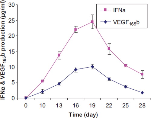 Figure 5. The quantity of secreted IFNα and VEGF165b from non-encapsulated cells determined by ELISA.