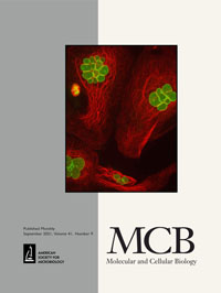 Cover image for Molecular and Cellular Biology, Volume 41, Issue 9, 2021
