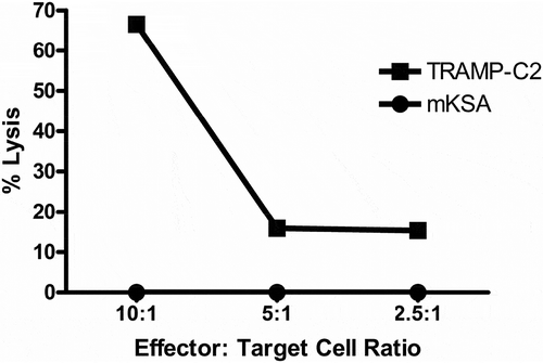Figure 6. Cytotoxic T cell response from IL-10 Deficient D52 vaccinated and TRAMP-C2 tumor challenged mice. CD8 + T cells were isolated from splenic mononuclear cells of vaccinated mice that rejected tumor challenge and pooled. Line graph depicting specific lysis of autochthonous TRAMP-C2 tumor cells at various effector-to-target cell ratios. The C57Bl/6J mD52-expressing tumor cell TRAMP-C2 served as a MHC-matched target. The BALB/c-derived mD52-expressing tumor cell line mKSA served as a MHC-mismatched control target.