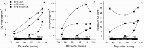 Figure 6. Dry weight (a), N (b) and K (c) accumulated in the stem, leaves and flower bud during the development of the zone of cutting flowers (CFZ) of roses, including the harvest. DD = debudding of the active leaves zone, DS = deshooting of the active leaves zone, P = pinch of the active leaves zone, S10 cm = shoots of the cutting flowers zone with 10 cm length, S15 cm = shoots of the cutting flowers zone with 15 cm length, FBV = flower buds visible in the cutting flowers zone, FSE = flower stem elongation in the cutting flowers zone, H = harvest of flower. Bars represent the standard error of the mean (n = 5).