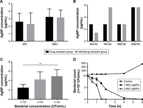 Figure 2 Antibacterial effect of AgNPs against the resistant Pseudomonas aeruginosa.Notes: (A) The mean values of MIC and MBC of AgNPs against P. aeruginosa. (B) The values of MIC50 and MBC90 of AgNPs against P. aeruginosa. (C) The effect of different concentrations of P. aeruginosa on MIC of AgNPs. (D) The time–bactericidal curve of AgNPs against P. aeruginosa. **P<0.01.Abbreviations: AgNP, silver nanoparticle; MBC, minimal bactericidal concentration; MIC, minimal inhibitory concentration.