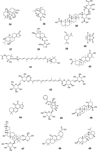 Figure 3 The chemical structures of anti-tumor terpenoids with clinical trials data.