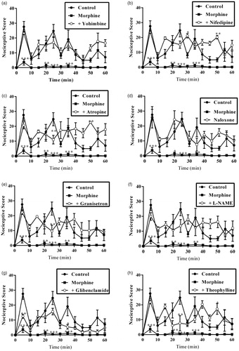 Figure 7. Effect of pretreatment of mice with (a) yohimbine (3 mg/kg, p.o.), (b) nifedipine (10 mg/kg, p.o.), (c) atropine (5 mg/kg, i.p.), (d) naloxone (2 mg/kg, i.p.), (e) granisetron (2 mg/kg, p.o.), (f) L-NAME (10 mg/kg, i.p.), (g) glibenclamide (8 mg/kg, p.o.) and (h) theophylline (10 mg/kg i.p.) on the total nociceptive score of morphine (3 mg/kg, i.p.) on the time-course curves of formalin-induced nociceptive test. Each point represents the mean of five animals and the error bars indicate SEM. ***p < 0.001, **p < 0.01 and *p < 0.05 compared the control group at same time points (two-way ANOVA followed by Bonferroni’s post hoc test).