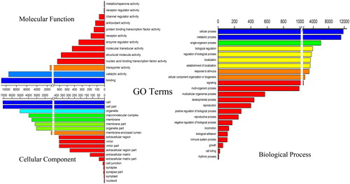 Figure 2. Gene ontology distributions for the transcriptome of J. curcas. Main functional categories of the transcriptome related to plant physiology of the molecular function, cellular component, and biological process. The abscissas show the number of unigenes, and one unigene may be associated with different GO terms.