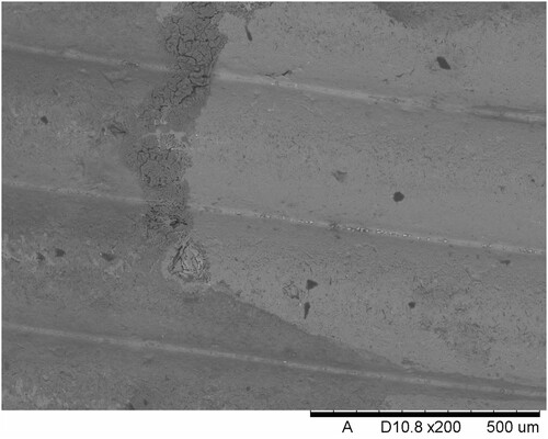 Figure 10. Exfoliating oxide layer forming an agglomerate at the interface between the pure alloy and the oxide layer.