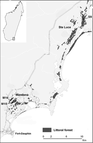 Figure 1. Location of sites. Study forest fragments are numbered (modified from Donati et al. Citation2007). North is up.