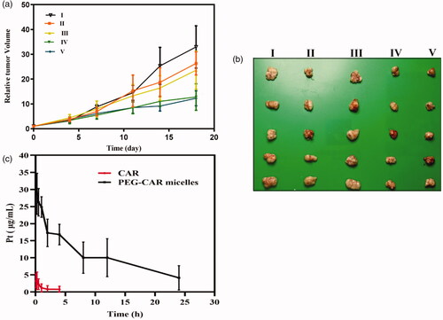 Figure 5. The relative tumor volume of nude mice of CAR and PEG-CAR-C16 micelles at different concentrations: (I) NS, (II) the CAR of 0.75 mg·kg−1, (III) the CAR of 1.5 mg·kg−1, (IV) the PEG-CAR-C16 of 5.5 mg·kg−1, (V) the PEG-CAR-C16 of 11.0 mg·kg−1 (a), the photographs of tumor volume (b) (n = 6). The Pt concentration–time curve of rats after intravenous injection of CAR and PEG-CAR-C16 micelles (c) (n = 3).