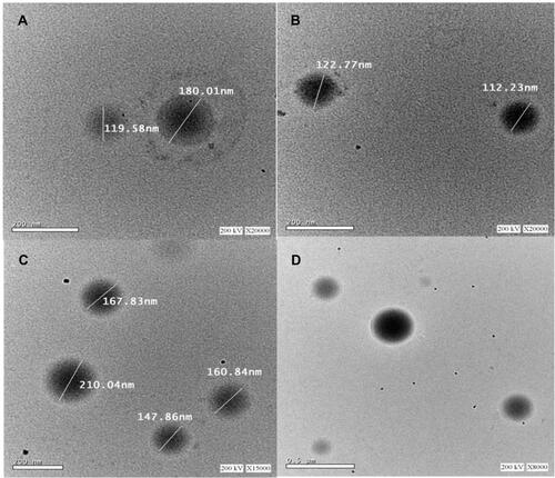 Figure 2 Transmission electron micrographs of CIN-PLGA-NPs with magnification of 20 kx (A and B), 15kx (C) and 8 kx (D).