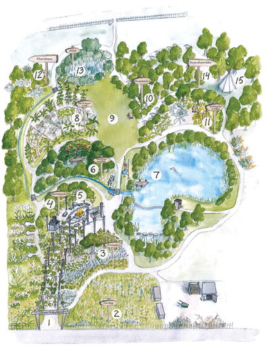 Figure 1. Map of the forest garden in Holma with locations indicated. The core area consists of six cashew-shaped groves of fruit and nut trees, berry bushes, and perennial herbs. All groves have different characteristics: 1. Entrance; 2. Dry meadow; 3. Herb grove; 4. Menth grove; 5. Fireplace; 6. Secret grove; 7. Large pond; 8. Barstow’s grove; 9. Meeting place; 10. Shade grove; 11. Vegetable grove; 12. Nut forest; 13. Little pond; 14. Acid soil area and 15. Teepee. Illustration by Katarina Månsson.