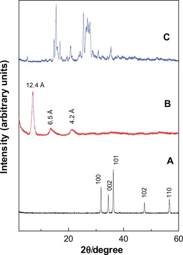 Figure 2 Powder X-ray diffraction patterns of ZnO (A), PAN (B) and protocatechuic acid (C).Abbreviation: PAN, protocatechuic acid nanocomposite.