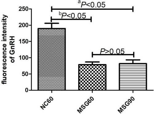 Figure 3 Effects of monosodium glutamate on the number of GnRH neurons. Comparison between the MSG60 group and the NC60 group (ap < 0.05). Comparison between the MSG60 group and the MSG90 group (bp < 0.05).