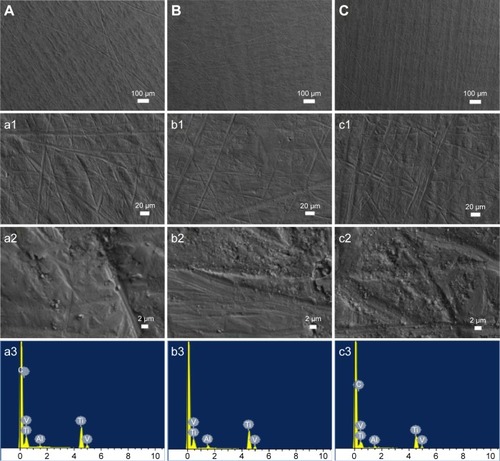 Figure 2 SEM morphologies of various substrates.Notes: SEM images of Ti samples at low and high magnifications with various cathodic arc discharge plasma treatment times of 1 second (B, b1, and b2), and 2 seconds (C, c1, and c2) when compared to untreated Ti control (A, a1, and a2). EDS pictures of elements on (a3) uncoated, (b3) 1 second nanocoated, and (c3) 2 seconds coated samples.Abbreviations: SEM, scanning electron microscopy; EDS, energy-dispersive X-ray spectrometer.