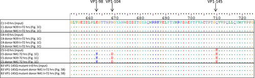 Fig. 6 Comparison of EV71 VP1 amino acid sequences that were retained from the organoid culture medium 72 h postinfection