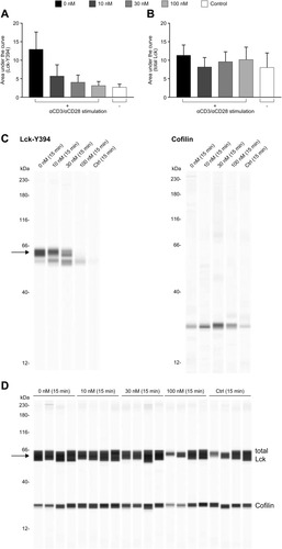 Figure 1 Inhibition of Lck phosphorylation by nintedanib. Automated capillary electrophoresis Western blot was performed using antibodies against Lck-Y394 (A) and total Lck (B). Cells were pretreated for 20 min with nintedanib and stimulated for 15 min with αCD3/αCD28. The area under the curve of the intensity of the chemiluminescence signal is shown as mean ± standard deviation of 3 donors. Panel (C) shows example Western blot with Lck-Y394 and cofilin. Panel (D) shows total Lck control Western blot.