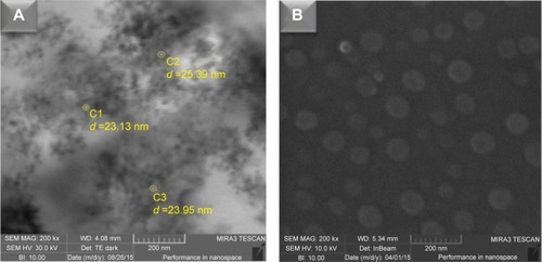 Figure 1 FE-SEM images of NOPs and NOP-DOX@BSA nanospheres.Notes: (A) Image of NiO obtained from FE-SEM instrument with scanning transmission electron microscope detector showing the size distribution of nanoparticles in the range of 20–25 nm. (B) FE-SEM images of NOP-DOX@BSA-FA nanospheres showing somewhat spherical shape and increased size of up to 80 nm.Abbreviations: BSA, bovine serum albumin; DOX, doxorubicin; FA, folic acid; FE-SEM, field emission scanning electron microscopy; NOPs, nickel oxide nanoparticles.