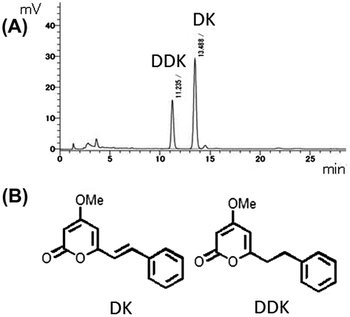 Fig. 1. HPLC chromatogram of EtOAc ext. of A. zerumbet rhizomes (A) and structures of DK and DDK (B).