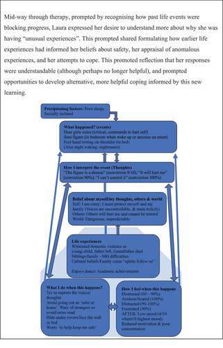 Figure 5. Case example – longitudinal formulation.