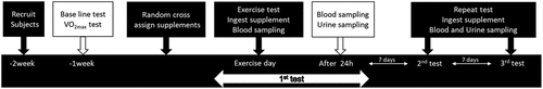 Figure 1. Experimental design. Obtained venous blood before the test, immediately after the test, and 24 h after the test. Morning urine collected 24 h after the test.