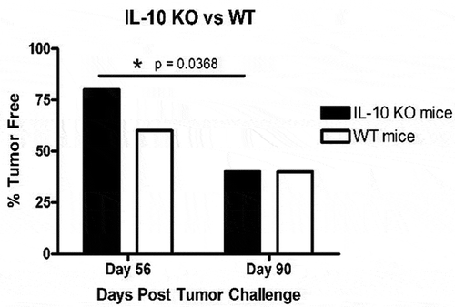 Figure 3. Comparison of autochthonous TRAMP-C2 tumor growth in vaccinated wild type (WT) and IL-10 deficient (IL-10 KO) mice at day 56 and day 90 post-primary tumor challenge. Data are presented as percent tumor free (% Tumor Free) in a specific group. Significance was determined using a paired t-test (p < .05).