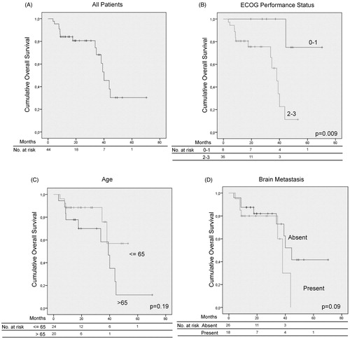 Figure 3. Kaplan–Meier curves for overall survival: (A) all patients; and patients stratified by ECOG performance status (B), age (C), and presence of brain metastasis (D). p values are calculated with Log-rank test. A higher ECOG status (ECOG ≥2) was associated with worse overall survival (Panel B, p = .009). However, older age (Panel C) and the presence of brain metastasis (Panel D) did not have an effect on overall survival outcome (p > .05 for both).
