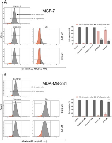Figure 5. Anti-NF-κB antibody flow cytometric analysis of MCF-7 (A) and MDA-MB-231 (B) breast cancer cells compared to a negative control cell after 24 h of incubation with 3b and cisplatin (0.25 μM and 0.5 μM). Mean percentage values from three independent experiments done in duplicate are presented. ***p < 0.001 vs. control group.