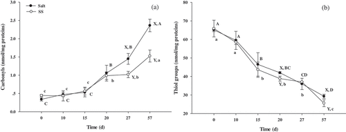 Figure 3. Changes in the content of carbonyl and thiol groups in beef during dry-curing