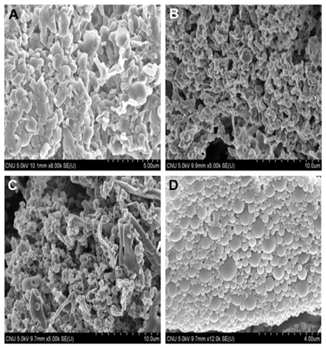Figure 3 Scanning electron microscopic images of polylactic acid-co-glycolic acid nanoparticles with various magnetic stirring times to remove organic solvent. (A), two hours, (B), four hours, (C), six hours, and (D) eight hours.