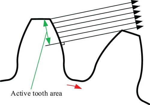 Figure 17. An example of active tooth surface area.