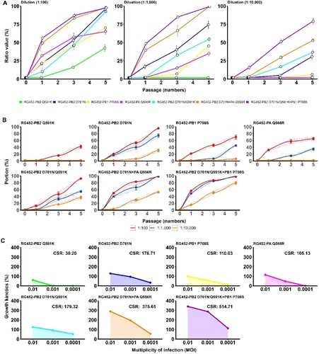 Figure 4. Competitive selection and kinetics of adaptive markers in RG452 viruses. (A) Competitive Selection Dynamics: The panel displays In vitro competitive selection intensities of individual and combined adaptive markers for recombinant RG452 viruses. Selection intensities of these markers are depicted when diluted at ratios of 1:100, 1:1000, and 1:10000 against the wild-type RG virus, revealing the competitive prowess of each adaptive marker. (B) CSK: Here, the nonlinear regression analysis evaluates the selection kinetics of various RG452 adaptive markers, including RG452-WT, RG452-PB2Q591K, RG452-PB2D701N, RG452-PB1P708S, and others. Analysis was carried out at three concentration ratios: 1:100, 1:1000, and 1:10000, utilizing the index sequence value as the criterion. (C) AUC Analysis: This segment showcases the AUC plots derived from adaptation values across different MOIs. The resultant AUC values corresponding to each adaptive marker are enumerated. AUC refers to the area under the curve.