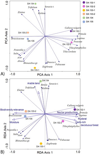 Figure 3. (A) The first and second axis of a PCA including all pollen types as response variables. The total variation is 109.88570. The most important pollen types are plotted in relation to the samples (dark blue arrows). (B) The first and second axis of an RDA including all pollen types as response variables. The most important pollen types are plotted in relation to the samples (dark blue arrows). Six important explanatory variables are shown with light blue arrows.