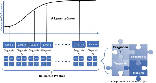 Figure 1. Conceptual Framework utilizing deliberate practice of diagnosing cases and creating illness scripts to accelerate learning as visually represented by a learning curve.