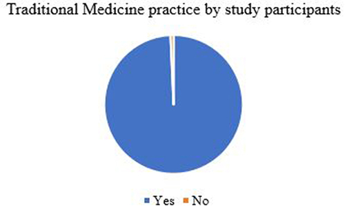 Figure 1 Traditional medicine practice by visitors of UOGCSH, Northwest Ethiopia, 2021 (n = 423).