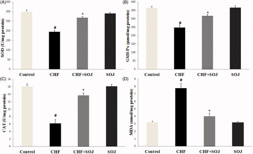Figure 5. SOJ treatment ameliorated cardiac oxidative stress in CHF rats. At six weeks of treatment, the SOD (A), GSH-Px (B), CAT (C) and MDA (D) levels of the heart tissue were assayed by kits. Data are expressed as mean ± SD, #p < 0.05 versus control group, *p < 0.05 versus CHF group.
