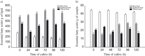 Figure 2. Quality (a) and yield (b) of essential fatty acids (ω3 and ω6) during cultivation of Rhizopus oryzae in rice bran, soybean meal and wheat bran.Figura 2. Calidad (a) y rendimiento (b) de ácidos grasos esenciales (ω3 y ω6) durante el cultivo de Rhizopus oryzae en salvado de arroz, harina de soya y salvado de trigo.