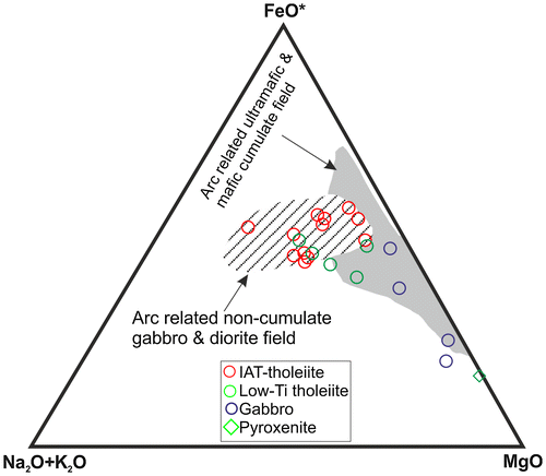 Figure 14. AFM composition of the cumulate and non-cumulate mafic-ultramafic rocks from the study area. Fields of cumulate and non-cumulate rocks are from Beard (Citation1986).