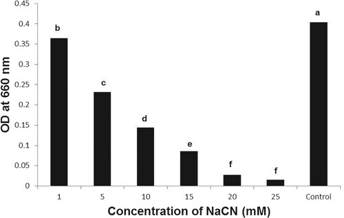 Figure 3. Growth of Bacillus subtilis BEB1 at different concentrations of NaCN. The absorbance of the bacterial cultures was determined 72 h after inoculation. Values followed by different letters are significantly different according to LSD test (P < 0.05).