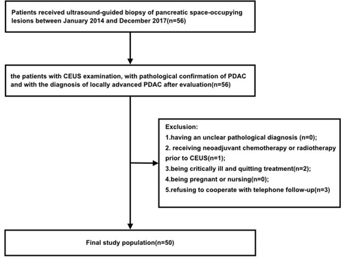 Figure 1 Flow diagram of patient inclusion and exclusion.