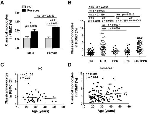 Figure 2 Frequency of classical monocytes in rosacea patients and HC grouped by gender (A) and different subtypes (B), respectively. Each plot represented one sample. Significance between two groups was indicated by p value (*p < 0.05, **p < 0.01, ***p < 0.001, nsp > 0.05). Correlation between frequency of classical monocytes and age in HC (C) and rosacea patients (D). Correlation analysis were conducted using Pearson’s rank correlation coefficient.
