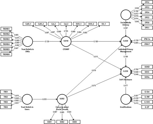 Figure 2. Results of the disjoint two-stage structural model.