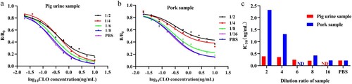 Figure 4. Elimination of matrix effects in (a) pig urine sample and (b) pork sample; (c) IC50values for pig urine sample and pork sample following different dilutions with PBS; ND: not detected.