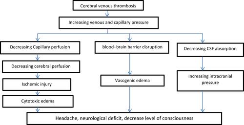 Figure 2 Pathogenesis of cerebral sinus venous thrombosis.