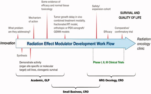 Figure 2. A suggested generalized workflow for the development of radioprotectors and mitigators for radiation oncology. The development of a radiation-effect modulator is a multi-step process from innovation to translation, as described in the illustration, which may involve the acquisition of intellectual property from an academic or industry source for development and translation to radiation oncology clinic following regulatory approval. The various steps in this workflow may include the following: sourcing of intellectual property, focusing development towards a solving a specific problem in the clinic, synthesis of the radiation-effect modulator, developing scientific evidence for organ/site-specific activity, evaluation of mechanism of action, formulation and dose/schedule optimization and performing studies on normal tissue toxicities, further evaluation in tumor bearing animals, if necessary, and conducting phase I, II, and III clinical trials. A close interaction among academia, small businesses, and clinical trial workgroups is crucial for successful translation of a radiation-effect modulator for ultimate use in the clinic (Prasanna et al. Citation2015). © 2019 Radiation Research Society. GLP: good laboratory practice; CRO: Contract Research Organization. NRG – NSABP: National Surgical Adjuvant Breast and Bowel Project; RTOG: the Radiation Therapy Oncology Group; GOG: the Gynecologic Oncology Group.