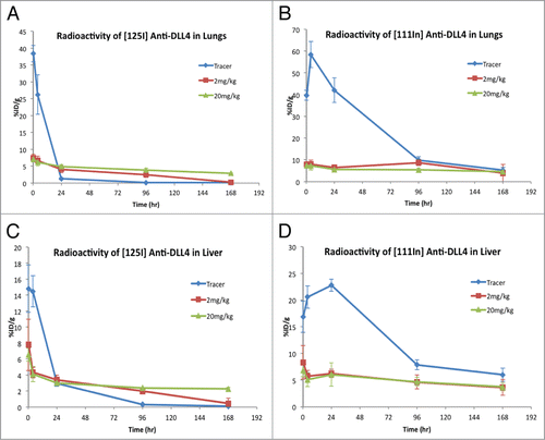 Figure 4. Comparison of distribution of [125I]- vs. [111In]–anti-DLL4 in the lungs and liver over time following administration either as tracer alone or with 2 mg/kg and 20 mg/kg of unlabeled anti-DLL4. Radioactivity levels were assessed at 15 min, 4 h, 24 h, 4 d, and 7 d (Mean ± SD, n = 3 per time point per group). (A) [125I]-anti-DLL4 in lungs; (B) [111In]-anti-Dll4 in the lungs; (C) [125I]-anti-DLL4 in liver; (D) [111In]-anti-DLL4 in the liver.