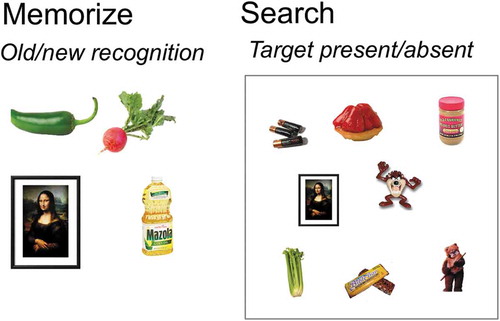 Figure 1. Procedure of Experiment 1. Observers are exposed to 1–16 items that will serve as the memory set for a block of trials (example memory set of 4 items) and are tested to confirm that the set is memorized. Observers then perform target-present/target-absent visual search trials in displays with 1–16 objects (example display size of 4 and 8 items).