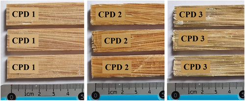 Figure 1. The specimens used in the water absorption test.