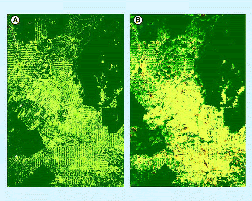 Figure 1.  Comparison of GlobCover map (A) at 300 m × 300 m resolution with GLC-2000 map, (B) at 1 km × 1 km resolution over Rondonia, Brazil.