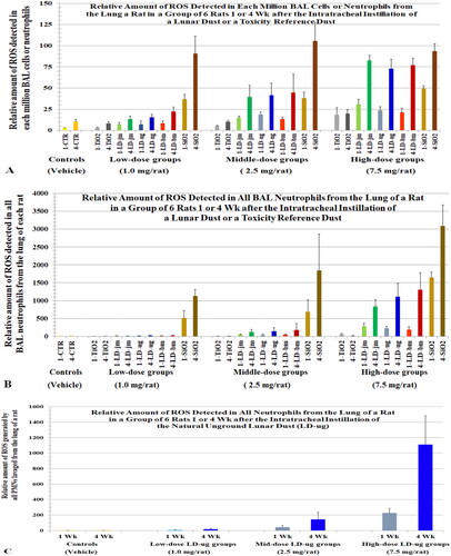 Figure 4. Relative ROS levels in BAL cells from rats instilled with lunar dusts (LD), TiO2, and quartz (SiO2) at 0 (control), 1, 2.5, or 7.5 mg/rat. The lungs were lavaged 1 or 4 weeks after the dust instillation. ROS in BAL cells were assessed by a chemiluminescence assay. X-axis labels: jet-milled LD: LD-jm (green): unground LD: LD-ug (blue); ball-milled LD: LD-bm (red); bars of lighter color-shades represent 1-week groups; bars of darker color-shades represent 4-week groups. Each bar is the mean ± SD from six rats.